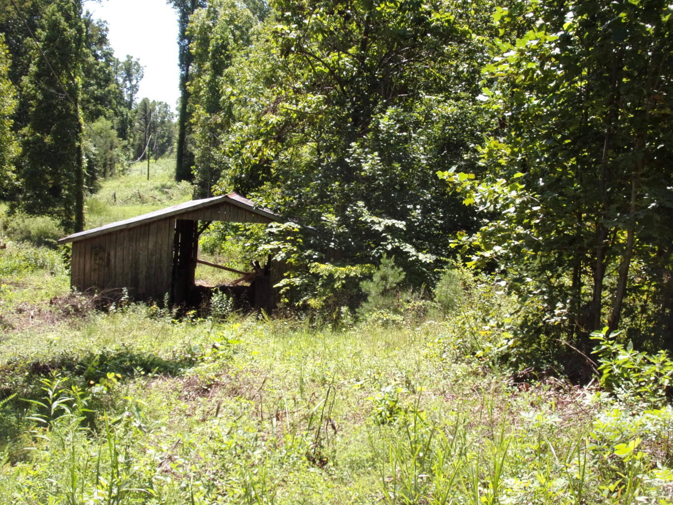128 Bell Summers Road Pikeville, TN 37367 - Photo 14 of 36 20190830193014109134000000-o