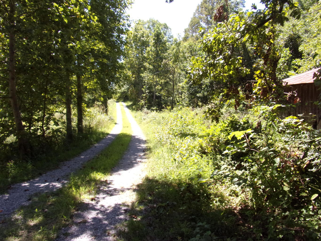 128 Bell Summers Road Pikeville, TN 37367 - Photo 15 of 36 20190830193021412176000000-o