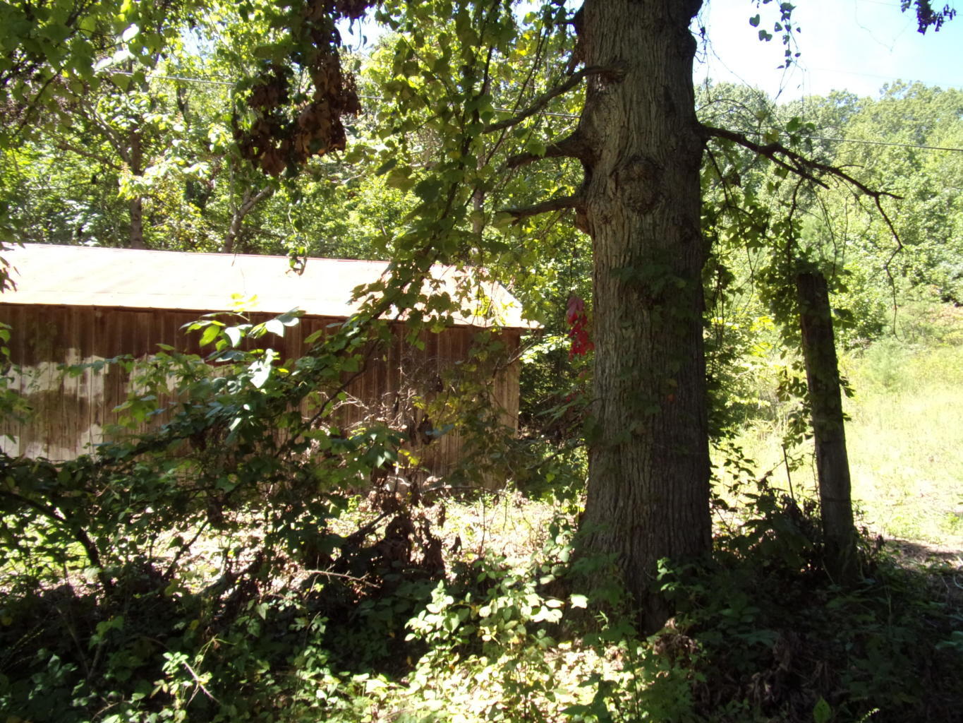 128 Bell Summers Road Pikeville, TN 37367 - Photo 16 of 36 20190830193025276446000000-o