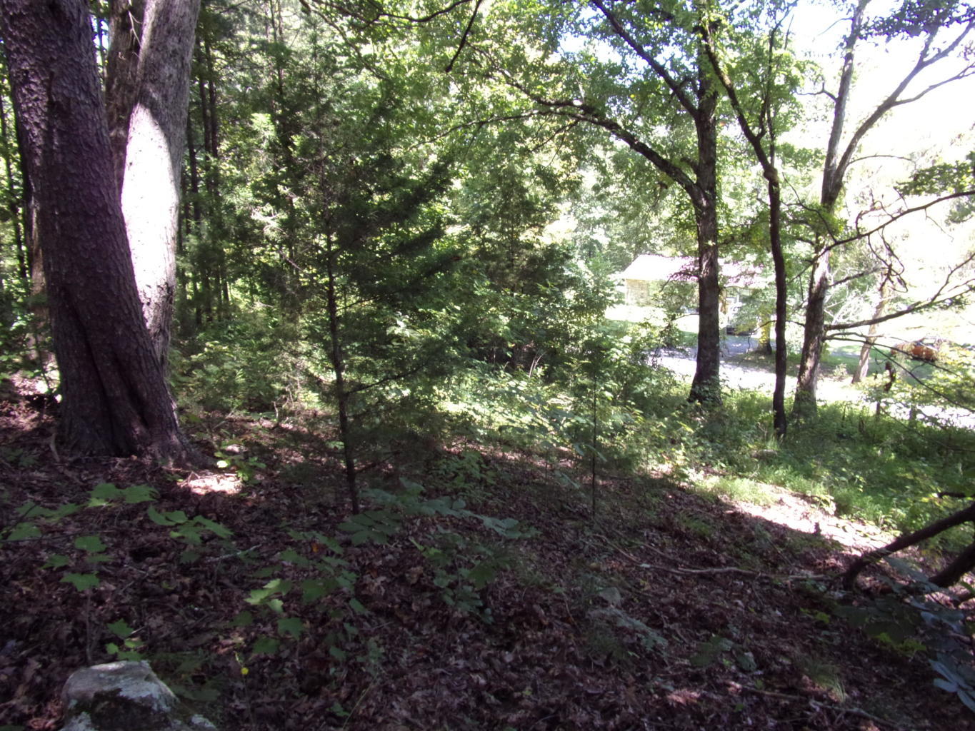128 Bell Summers Road Pikeville, TN 37367 - Photo 18 of 36 20190830193033302727000000-o