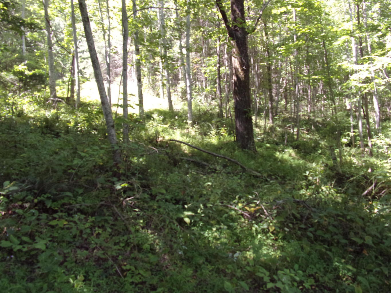 128 Bell Summers Road Pikeville, TN 37367 - Photo 21 of 36 20190830193044919264000000-o