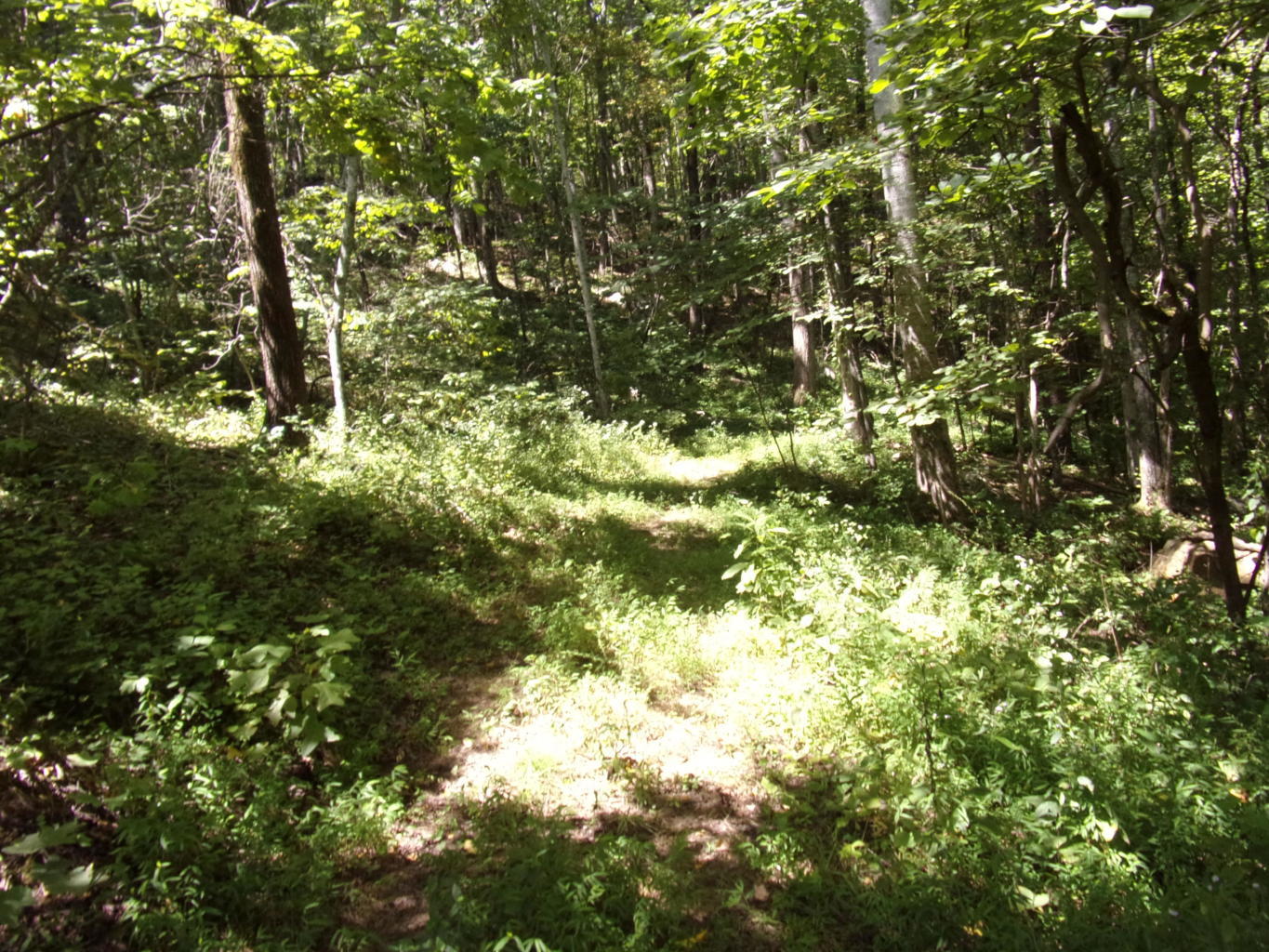 128 Bell Summers Road Pikeville, TN 37367 - Photo 29 of 36 20190830193119141676000000-o