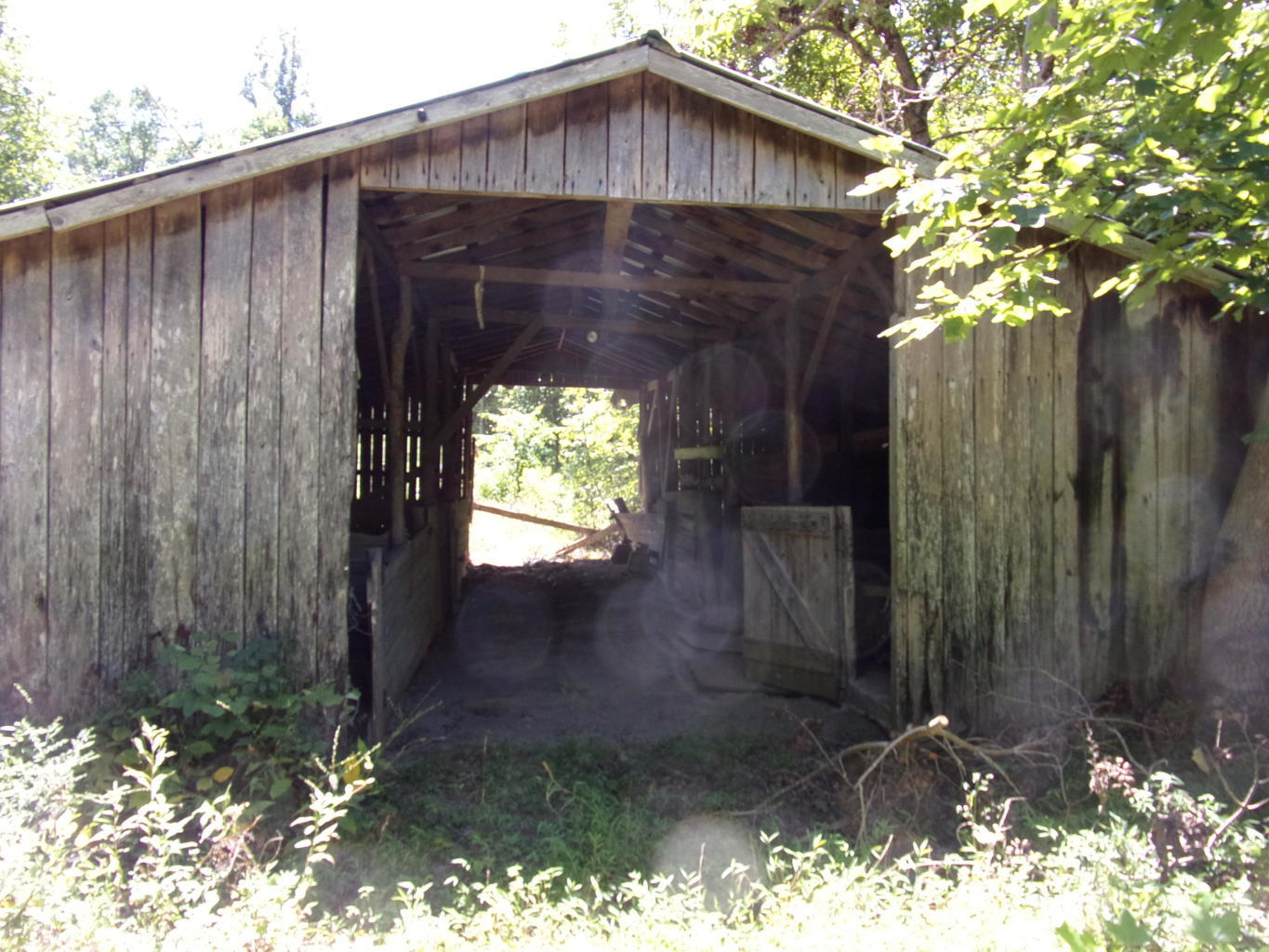 128 Bell Summers Road Pikeville, TN 37367 - Photo 4 of 36 20190830192942812116000000-o