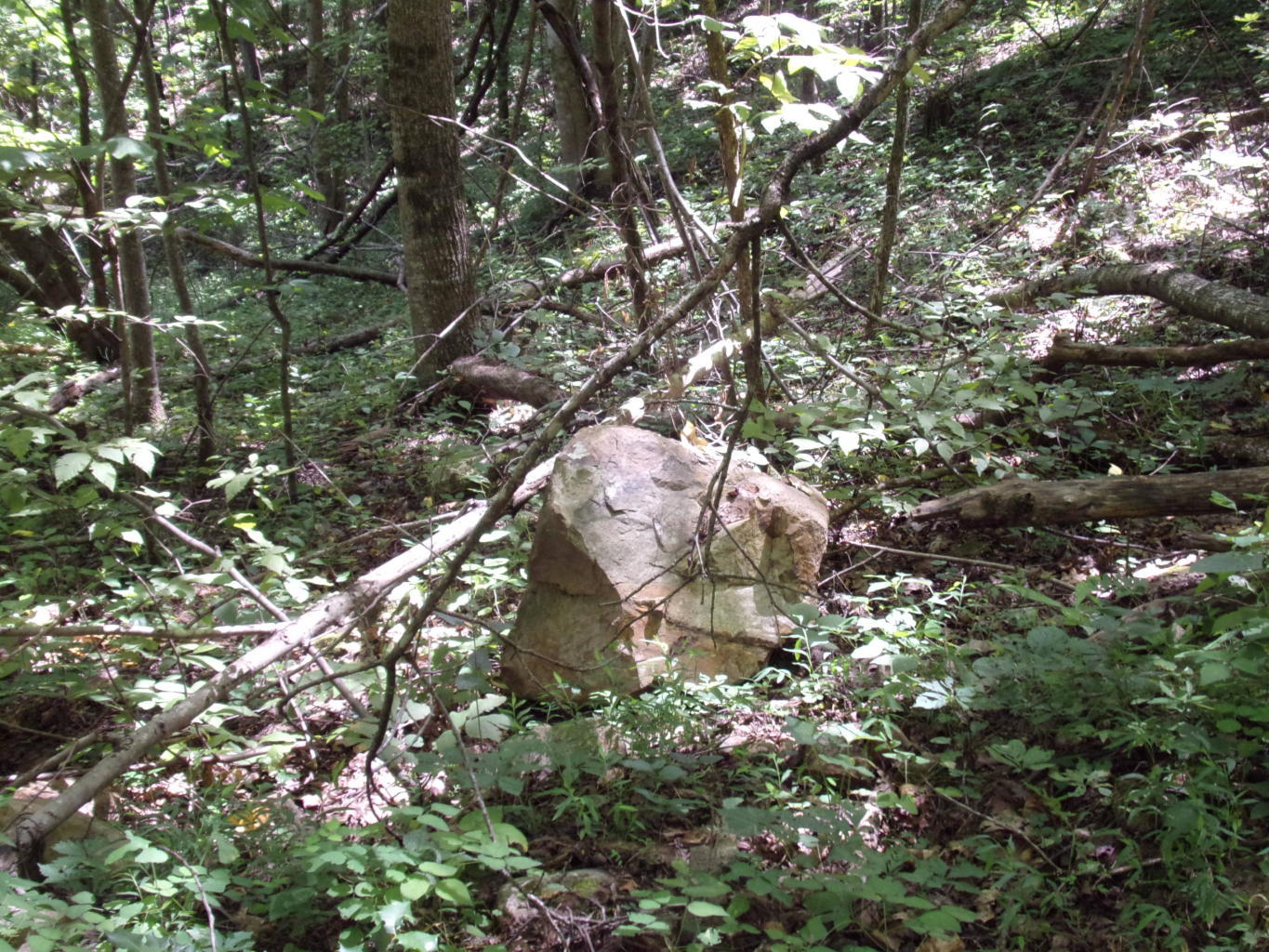 128 Bell Summers Road Pikeville, TN 37367 - Photo 32 of 36 20190830193137476993000000-o