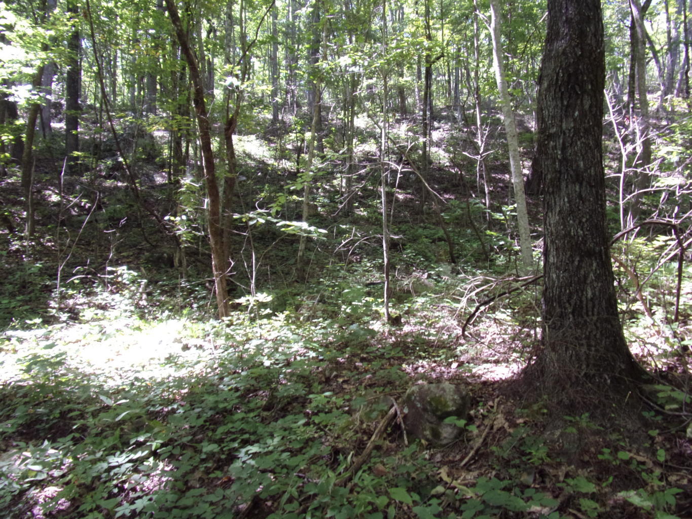 128 Bell Summers Road Pikeville, TN 37367 - Photo 33 of 36 20190830193146246089000000-o