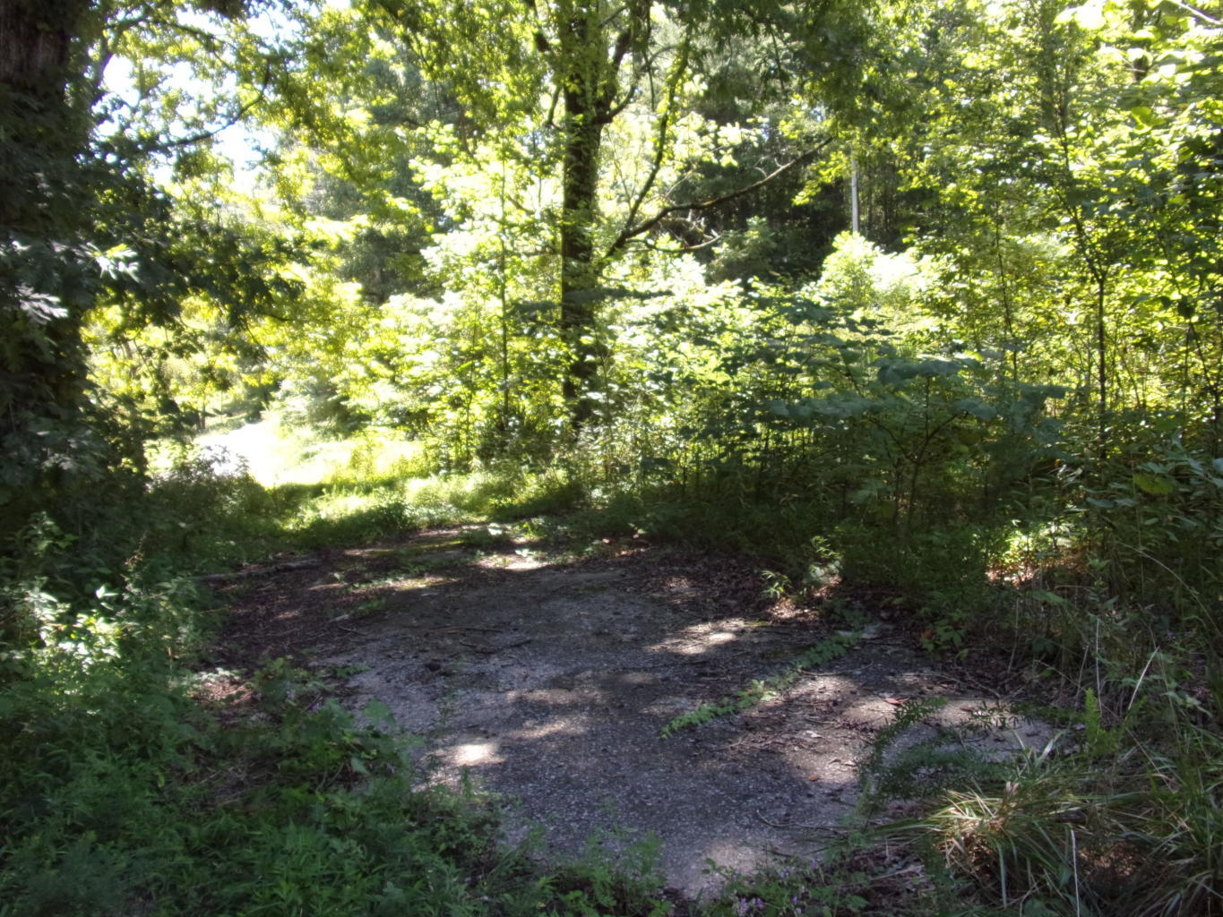 128 Bell Summers Road Pikeville, TN 37367 - Photo 36 of 36 20190830193202075234000000-o