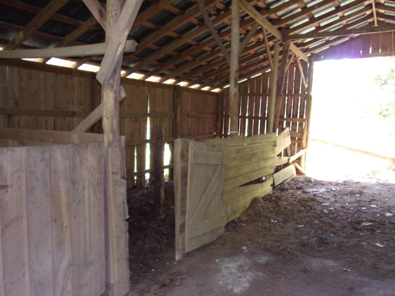 128 Bell Summers Road Pikeville, TN 37367 - Photo 6 of 36 20190830192952433279000000-o