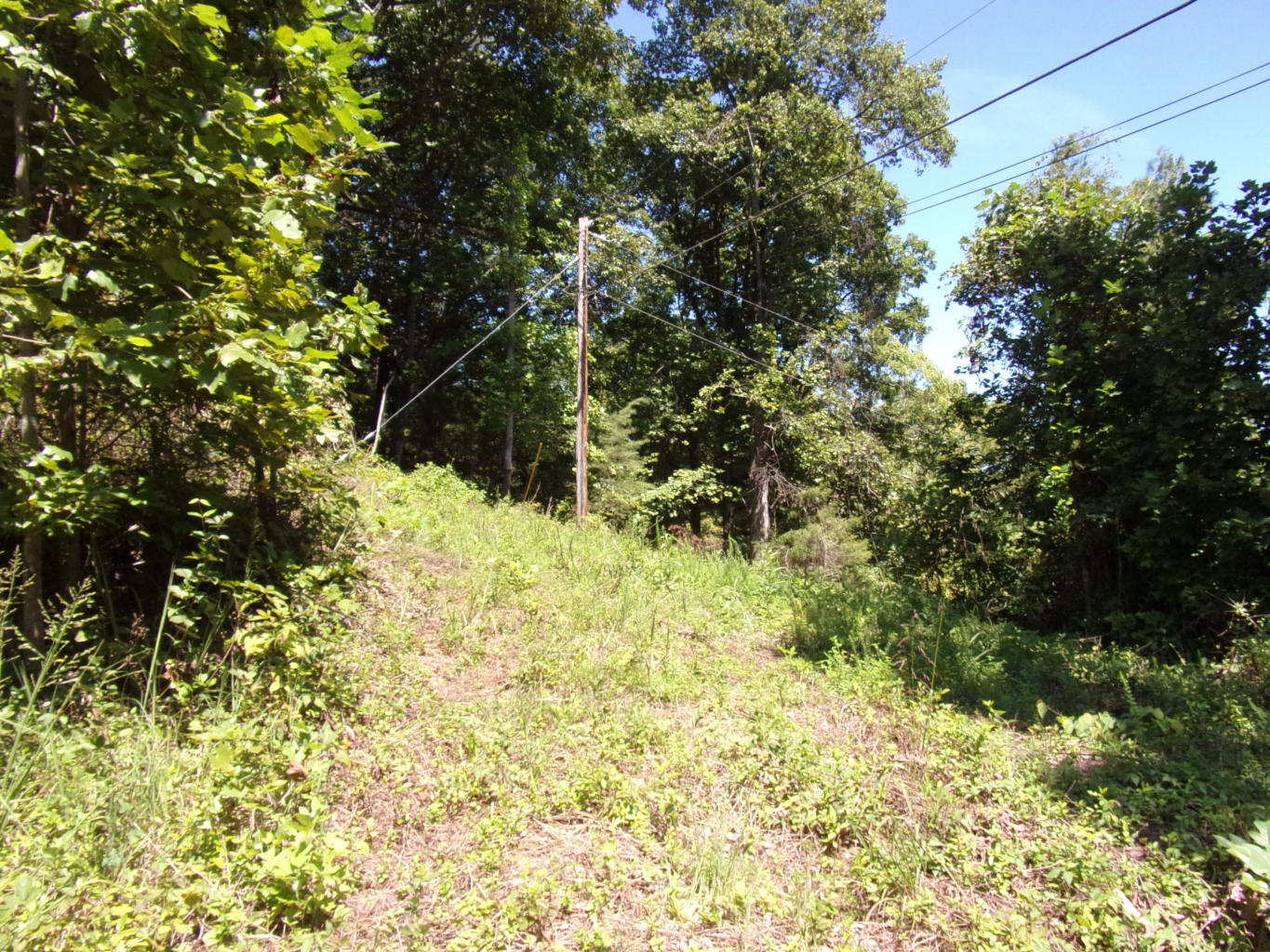 128 Bell Summers Road Pikeville, TN 37367 - Photo 9 of 36 20190830193003833870000000-o