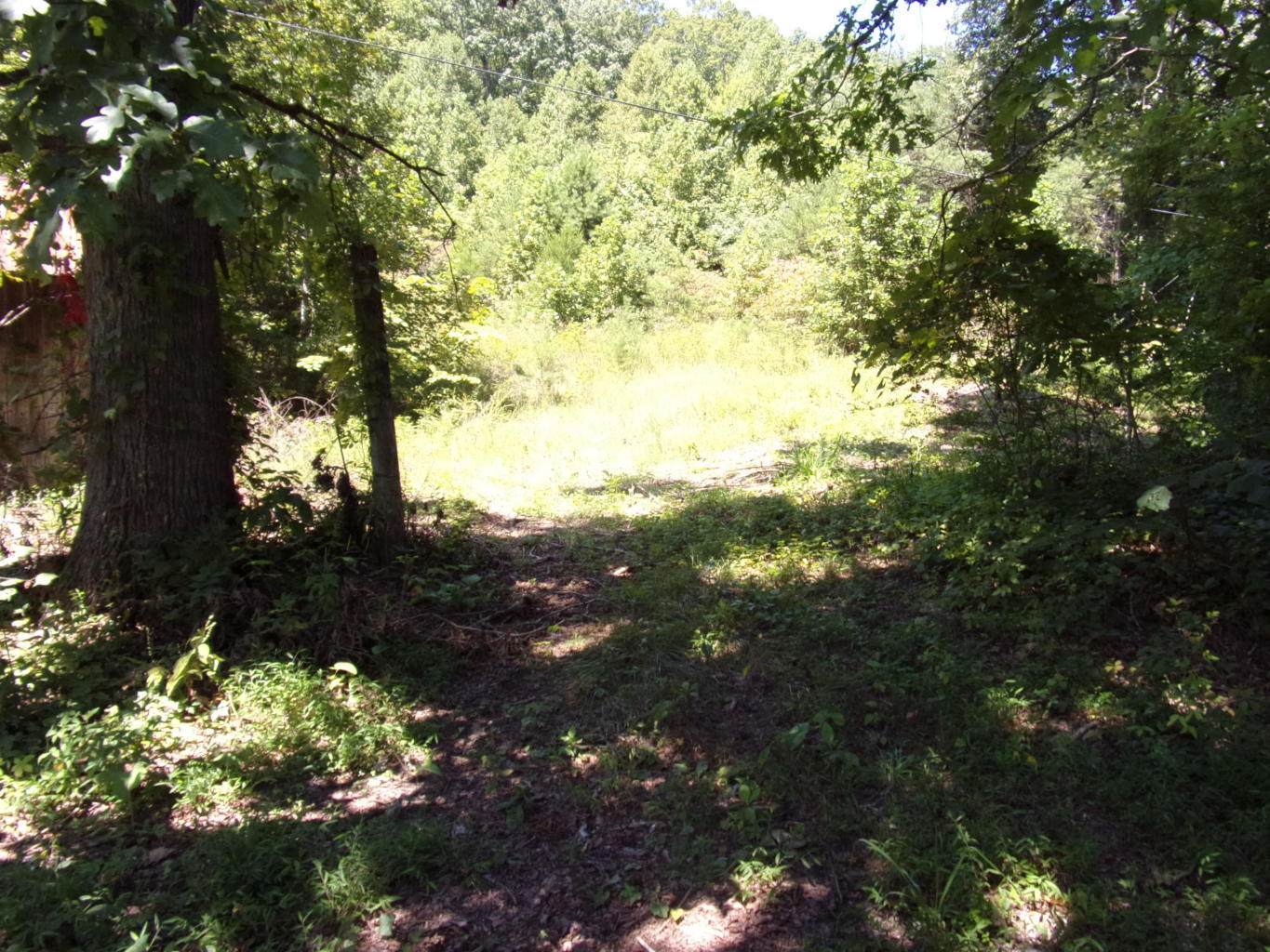 128 Bell Summers Road Pikeville, TN 37367 - Photo 10 of 36 20190830192930545011000000-o