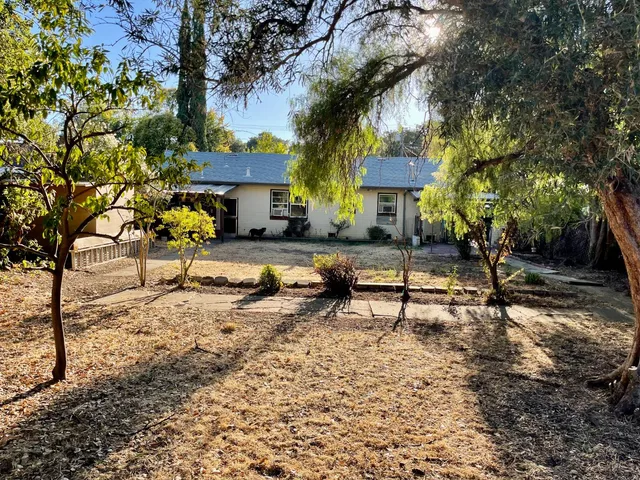 a view of a yard with plants and trees