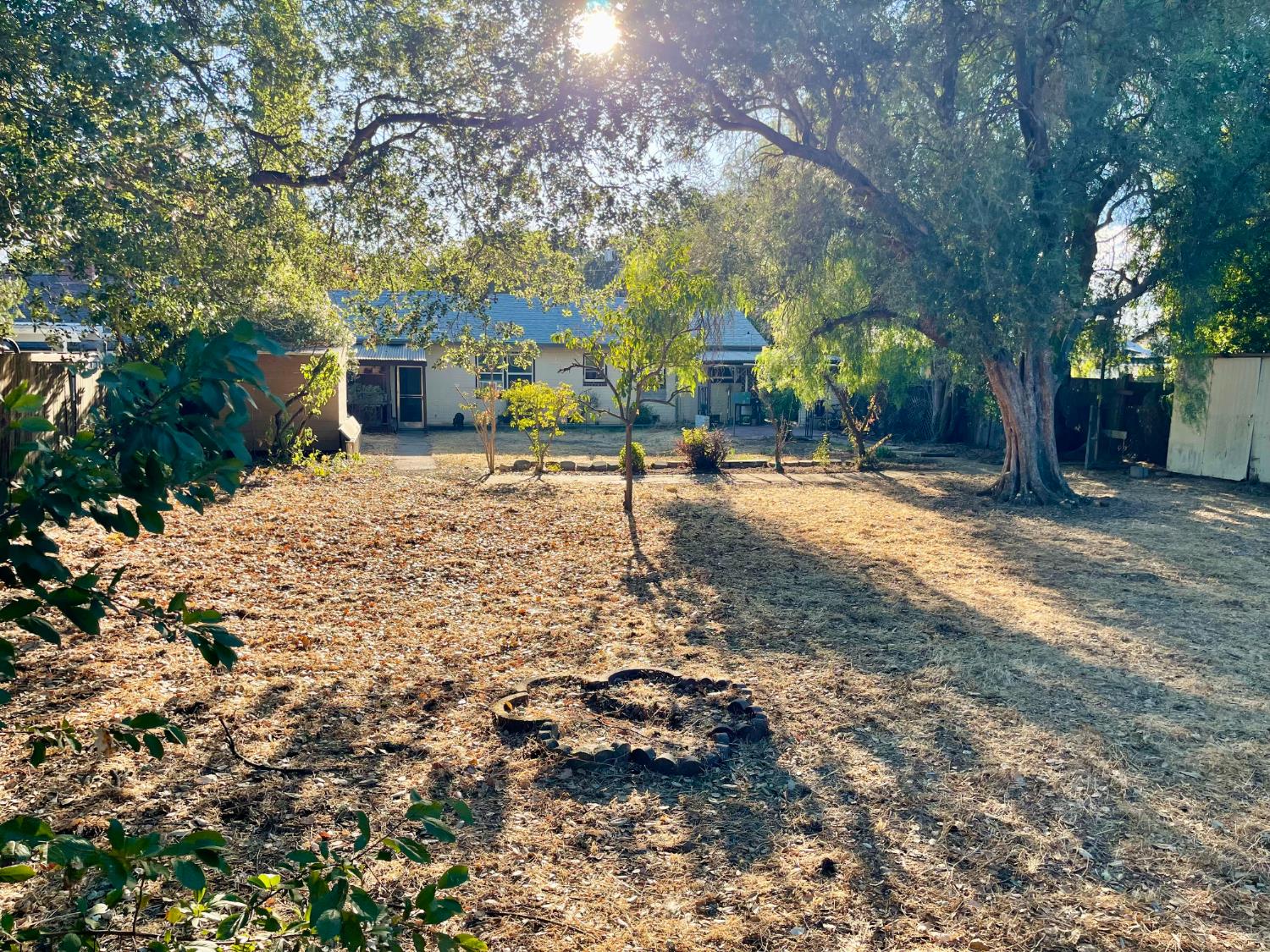 1736 6th Street Concord, CA 94519 - Photo 51 of 64 a view of a yard with plants and trees