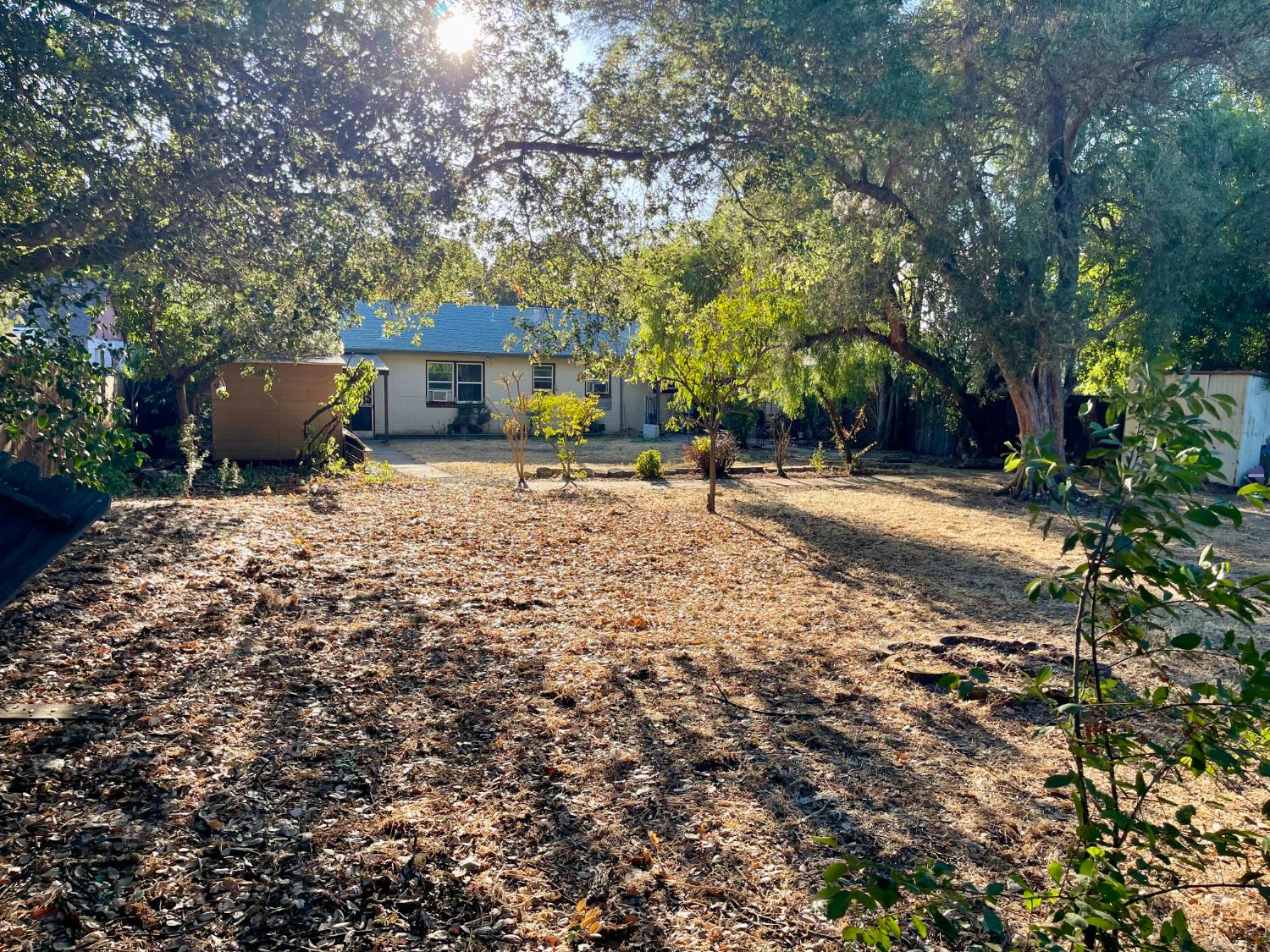 1736 6th Street Concord, CA 94519 - Photo 52 of 64 a backyard of a house with table and chairs