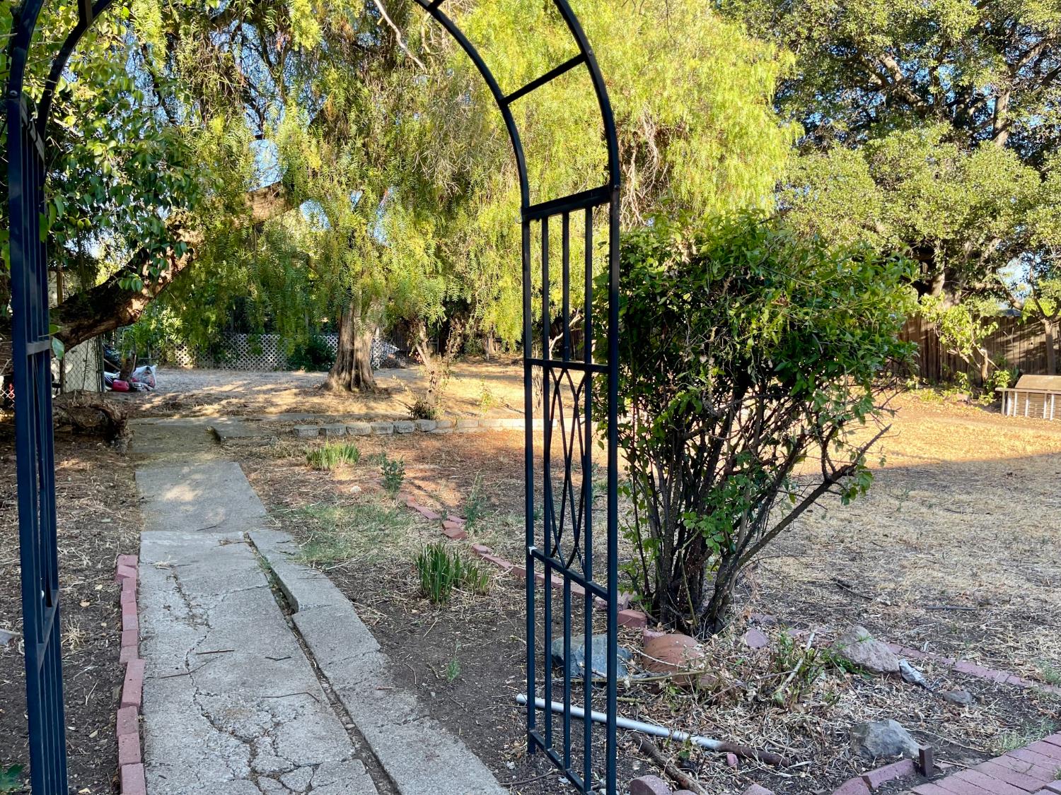 1736 6th Street Concord, CA 94519 - Photo 56 of 64 a backyard of a house with lots of green space