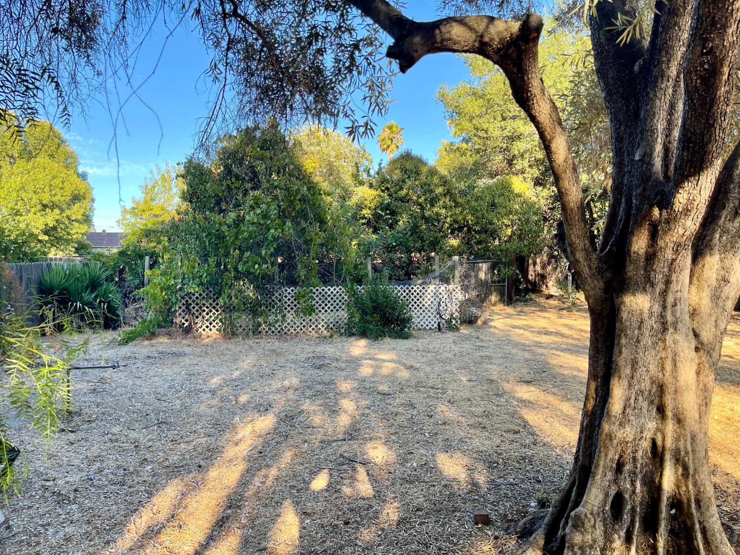 1736 6th Street Concord, CA 94519 - Photo 61 of 64 a view of swimming pool with a backyard