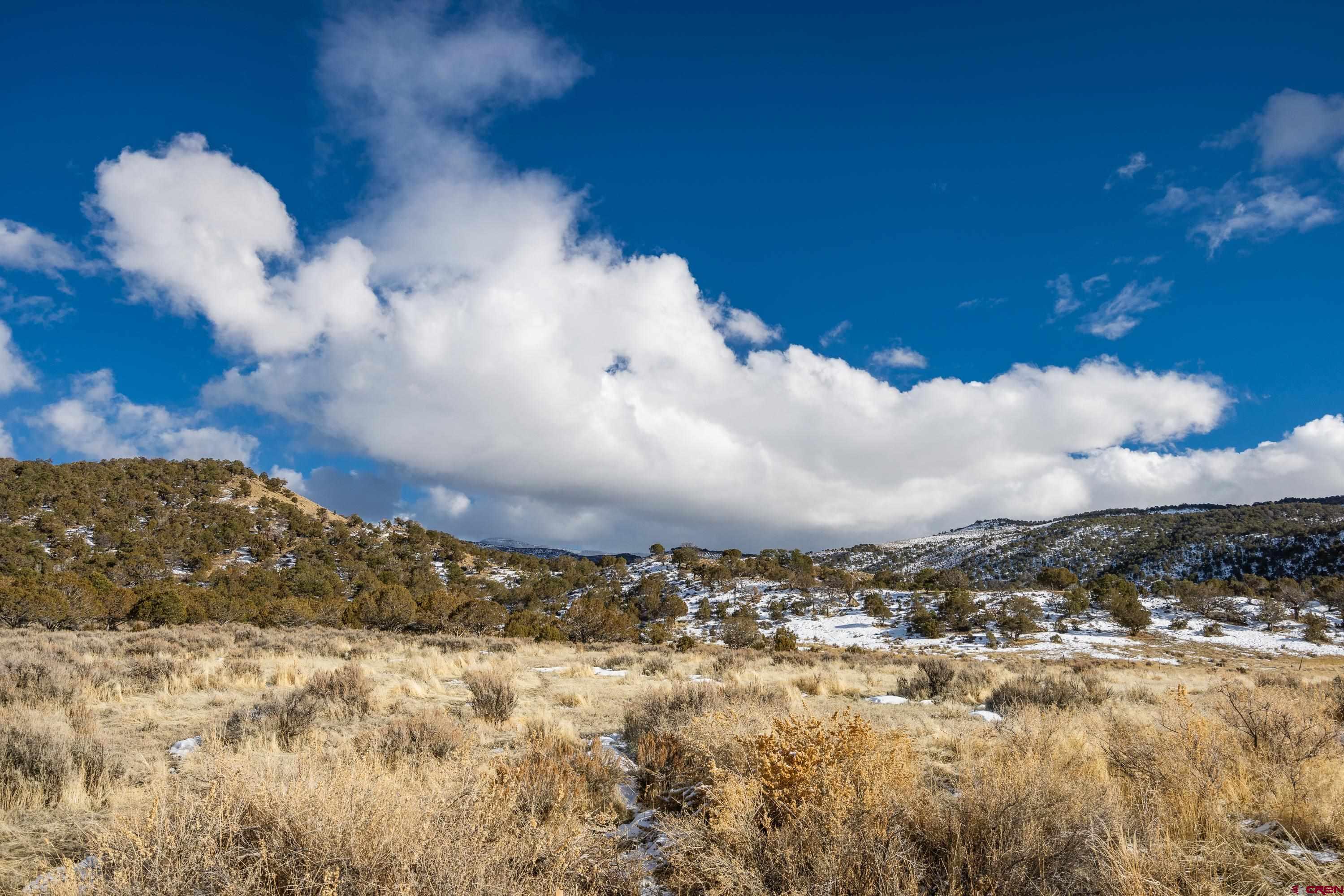 Lot 20 7250th Road Montrose, CO 81403 - Photo 8 of 17 Gallery Image 8