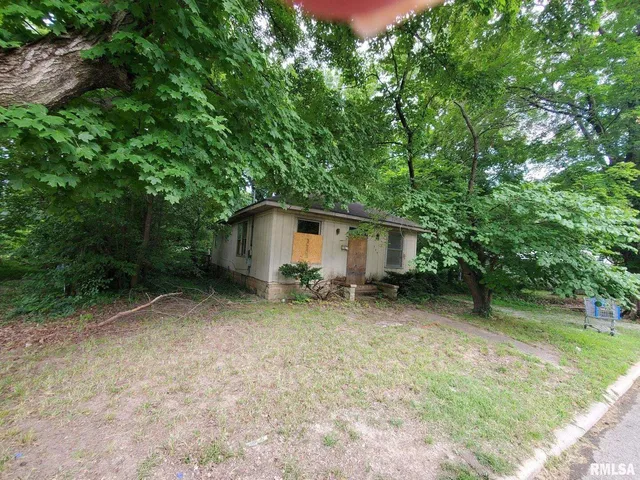 a view of a house with yard and a tree