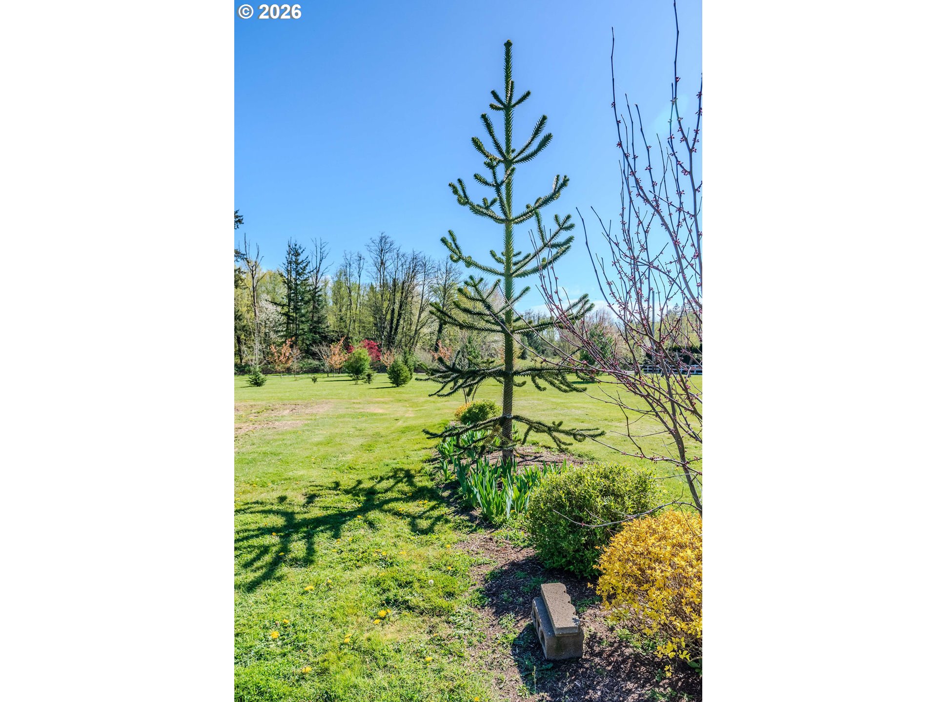 32728 Northeast Chamberlain Road Corbett, OR 97019 - Photo 40 of 45