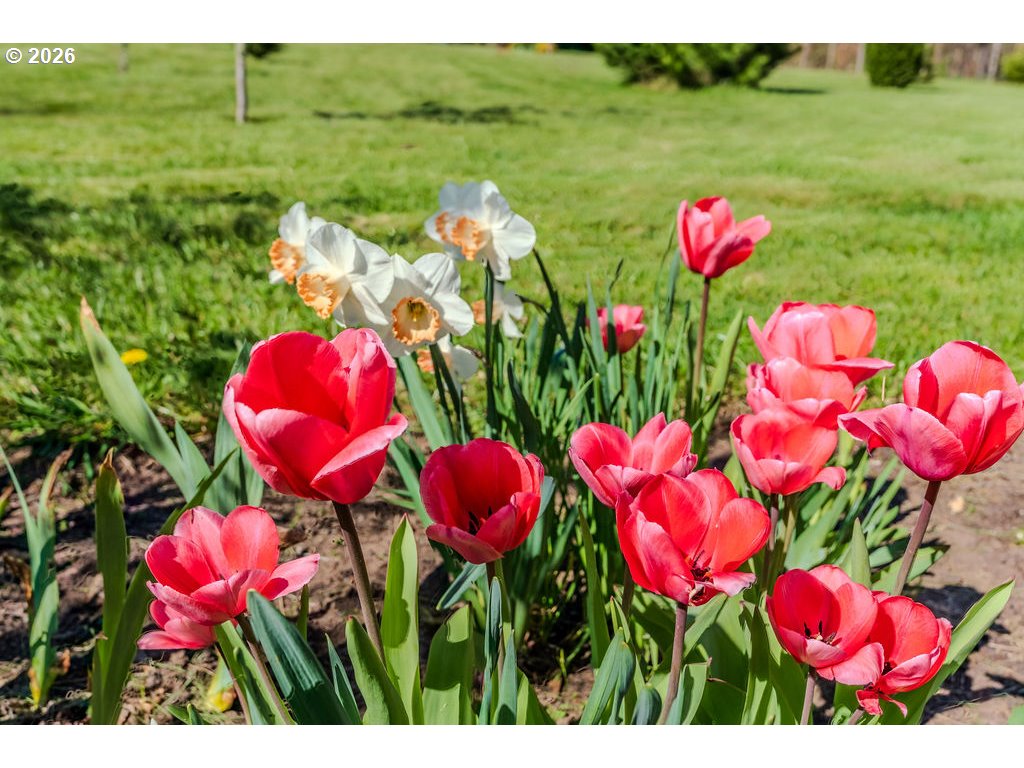 32728 Northeast Chamberlain Road Corbett, OR 97019 - Photo 44 of 45