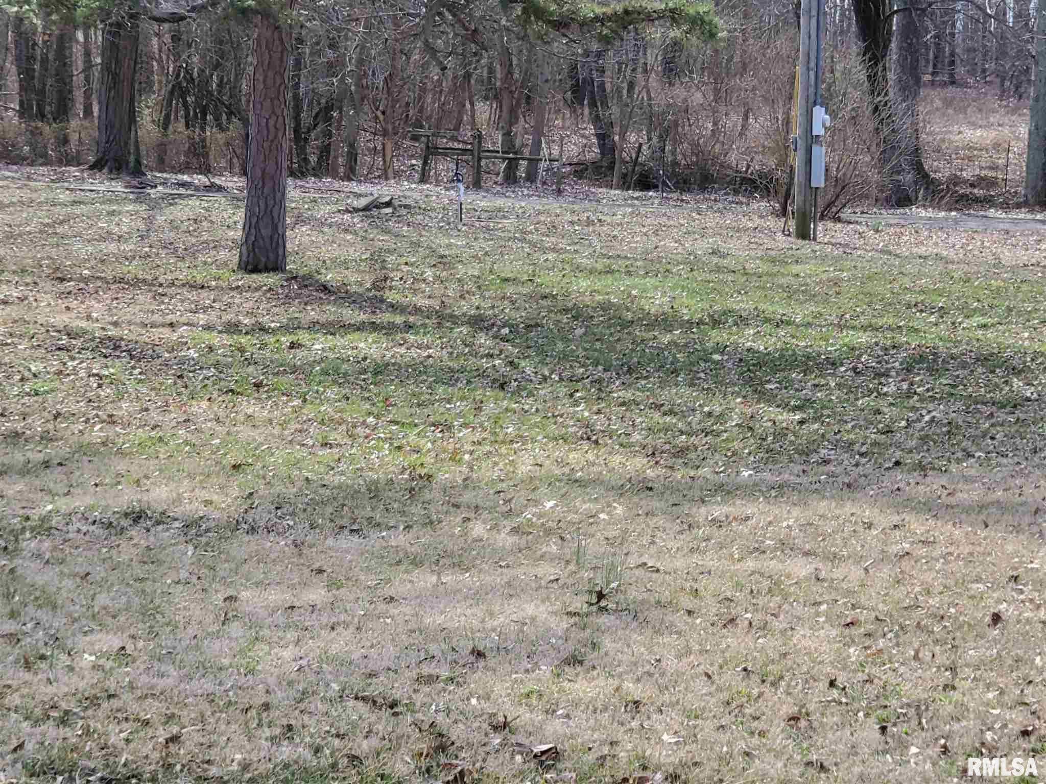 530 Beagle Road Stonefort, IL 62987 - Photo 4 of 39