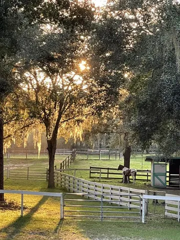 a view of dirt yard with a tree