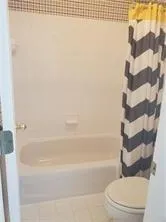a bathroom with a toilet and a bathtub