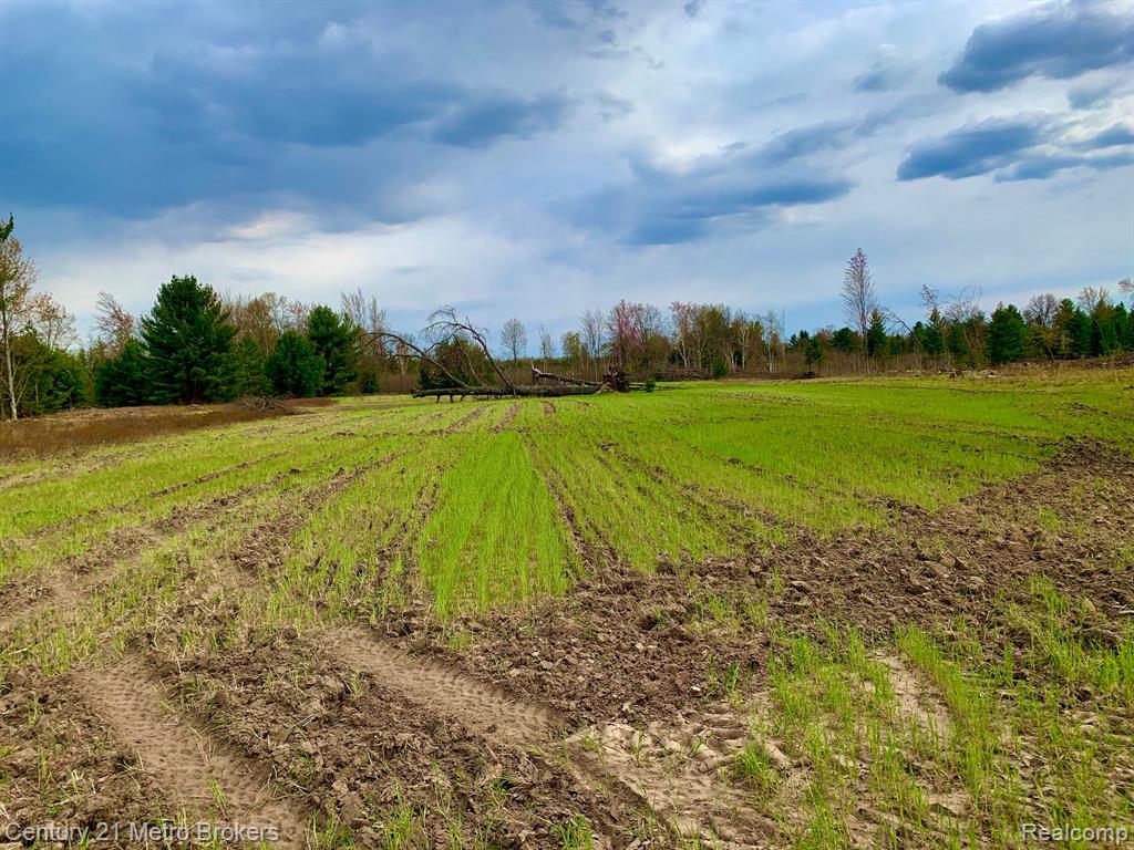 0 East Sugar River Road Alger, MI 48610 - Photo 18 of 50