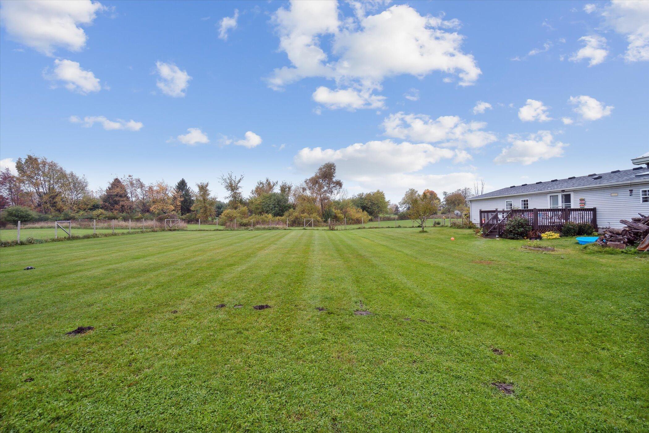 6925 Jones Road Jackson, MI 49201 - Photo 7 of 41 Jones yard