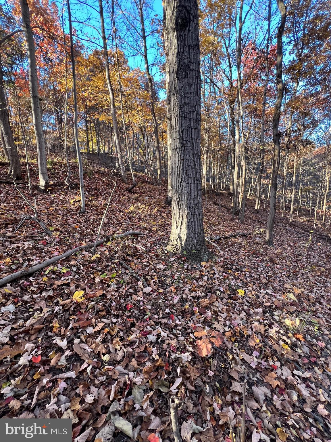 0 Timberline Ridge Road Front Royal, VA 22630 - Photo 13 of 23