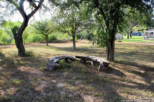 a view of a yard with a tree