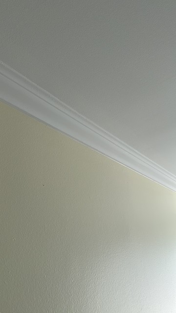 9508 South Green Street Chicago, IL 60643 - Photo 14 of 47