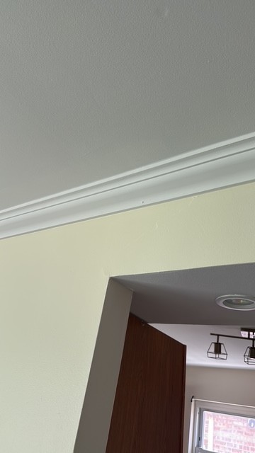 9508 South Green Street Chicago, IL 60643 - Photo 15 of 47 a close up of a sink