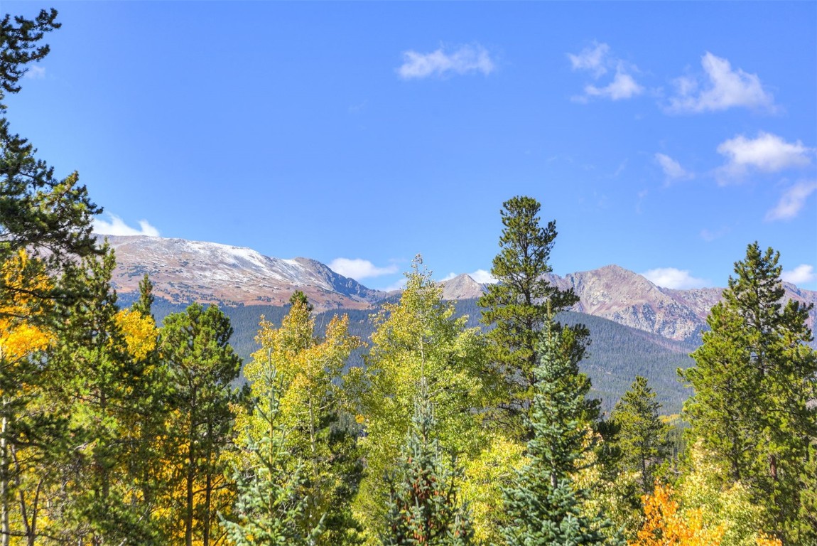 9 Rounds Road Breckenridge, CO 80424 - Photo 3 of 15 View of mountain backdrop featuring a forest
