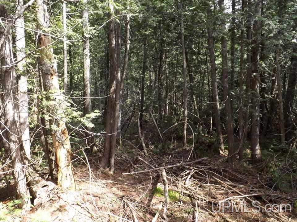 Tbd Forest Rd 180 Wakefield, MI 49968 - Photo 7 of 15