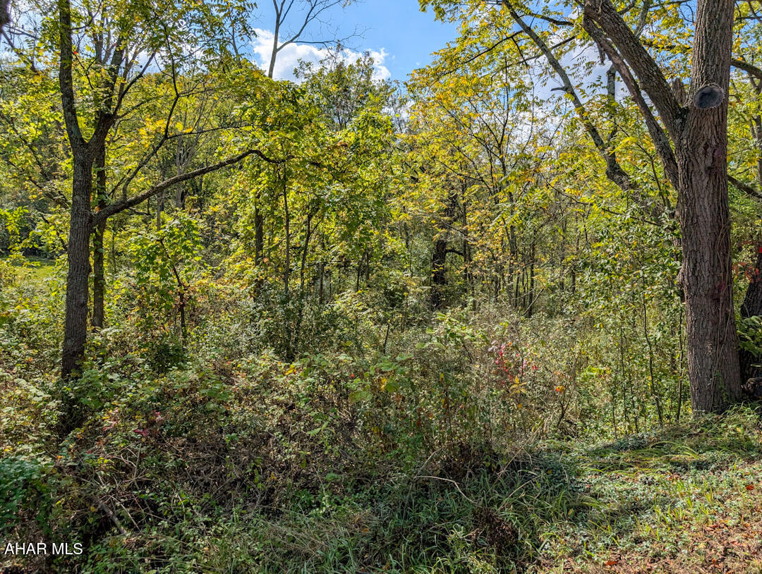 0 Chalybeate Road Bedford, PA 15522 - Photo 3 of 10