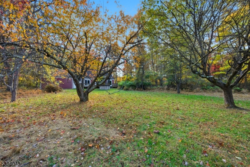 166 Anthony Road Glen Gardner, NJ 08826 - Photo 8 of 50