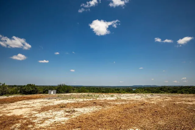 a view of a yard with a tree