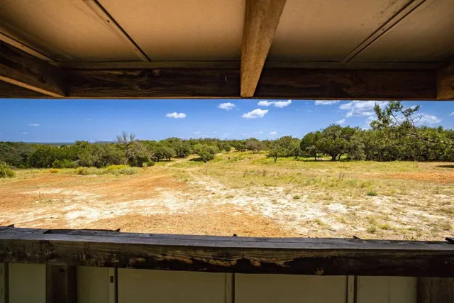 a view of swimming pool with outdoor seating and plants