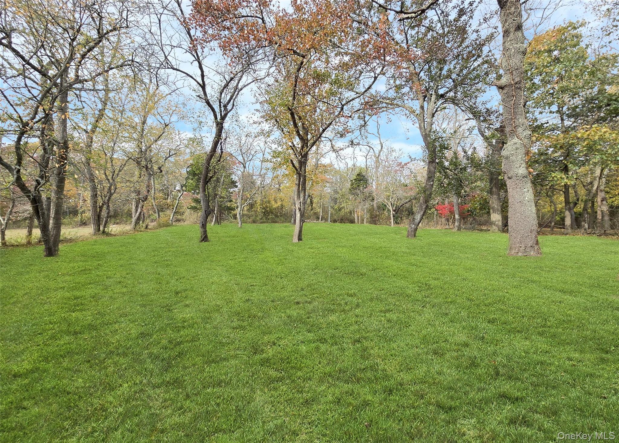 585 Pulaski Road Kings Park, NY 11754 - Photo 4 of 28 a view of grassy field with benches and trees all around