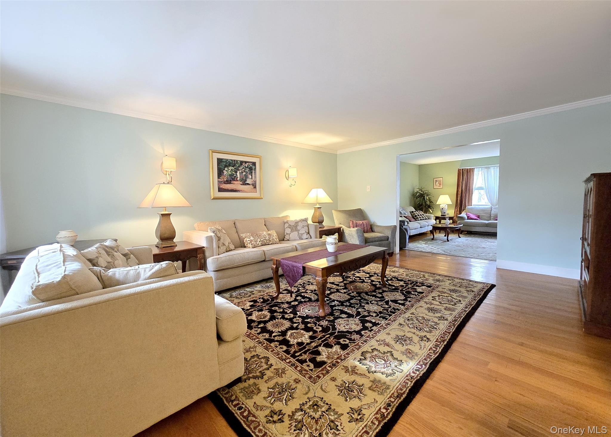 585 Pulaski Road Kings Park, NY 11754 - Photo 8 of 28 a living room with furniture and a rug