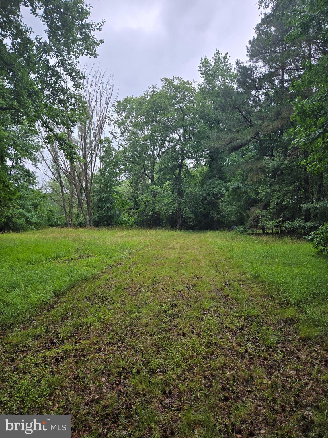 Cooper Road Eden, MD 21822 - Photo 2 of 6
