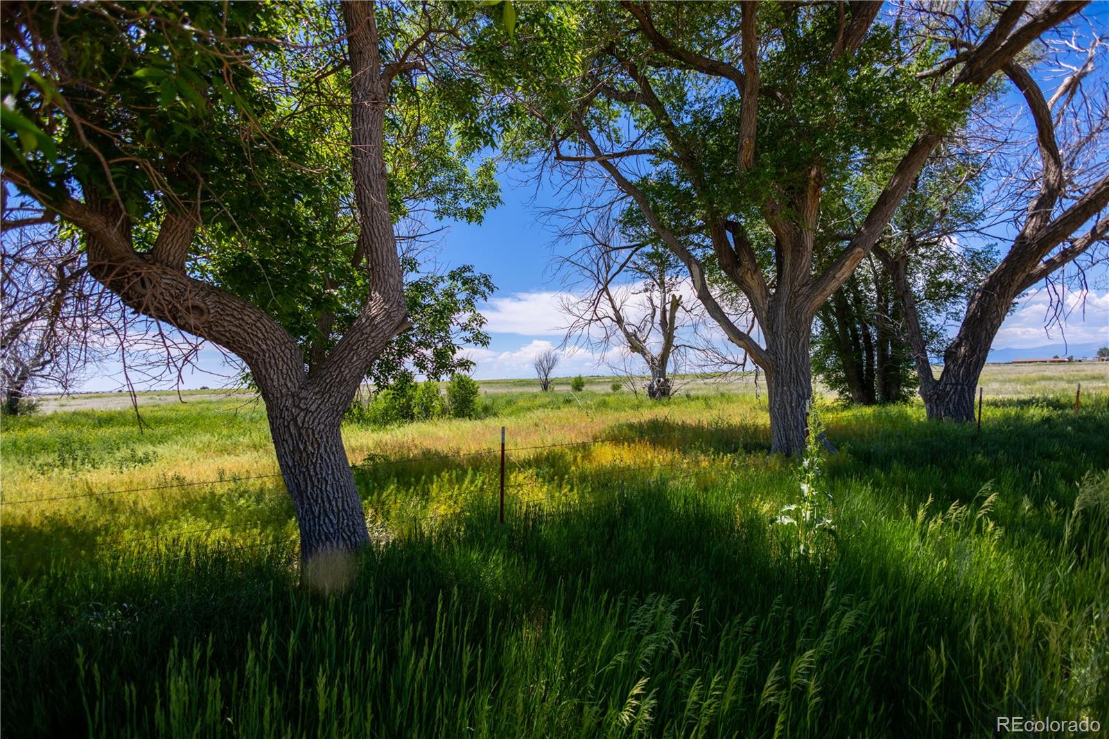 23655 East Garrett Road Calhan, CO 80808 - Photo 1 of 24 a backyard of a house with lots of green space