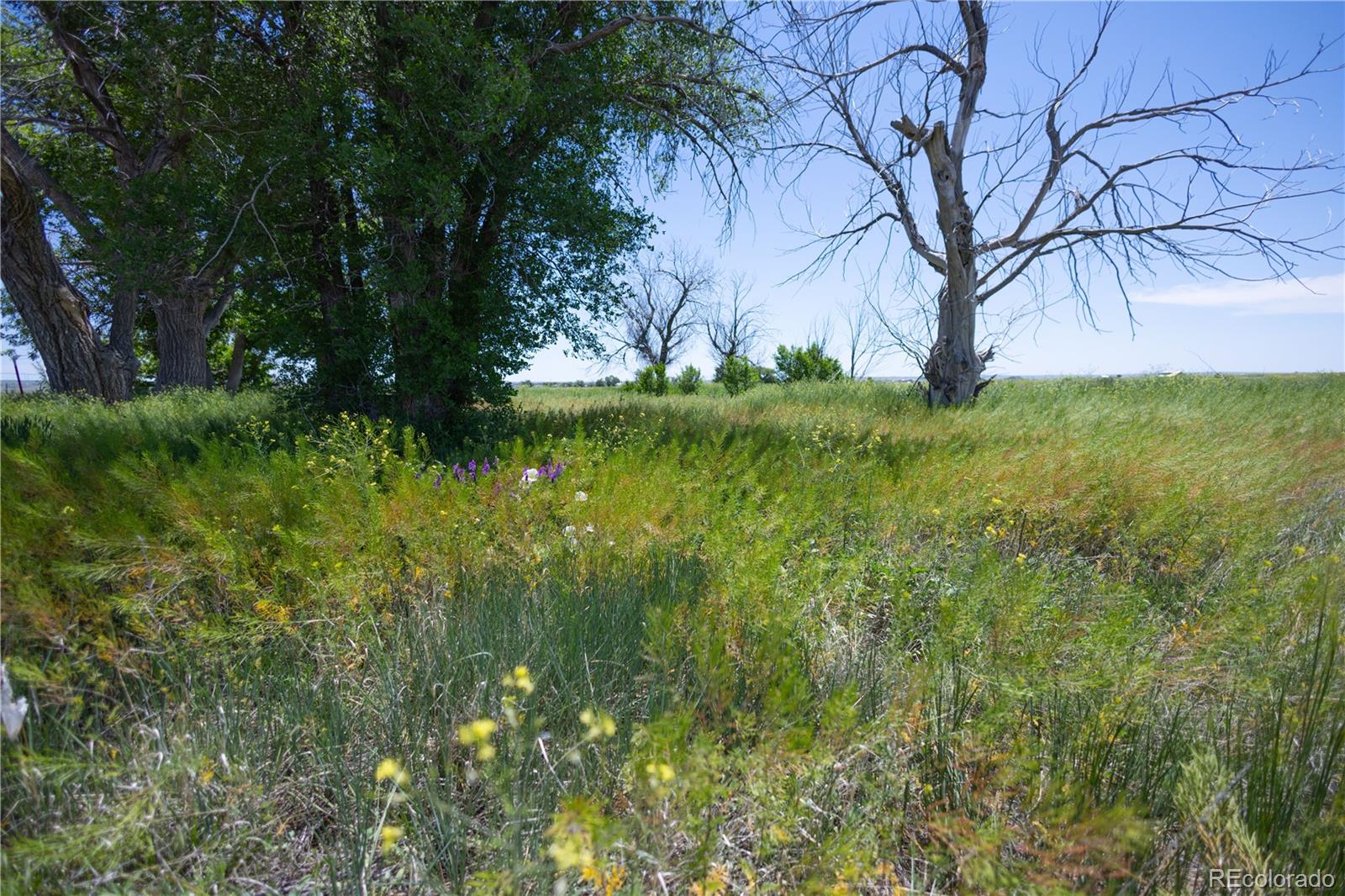 23655 East Garrett Road Calhan, CO 80808 - Photo 11 of 24 a view of yard with green space