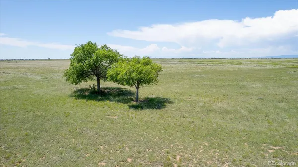 a view of a lake with a big yard