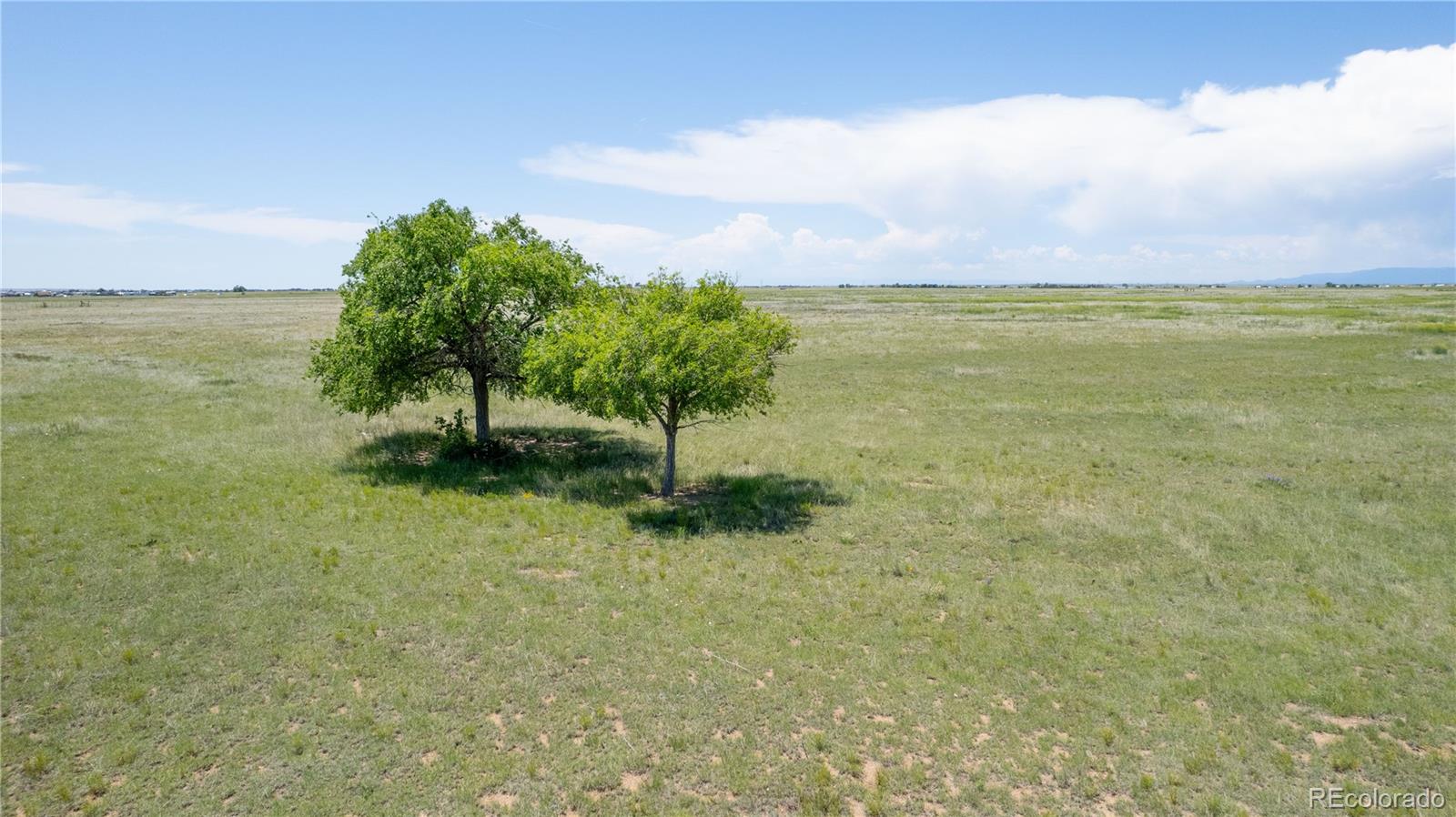 23655 East Garrett Road Calhan, CO 80808 - Photo 5 of 24 a view of a lake with a big yard