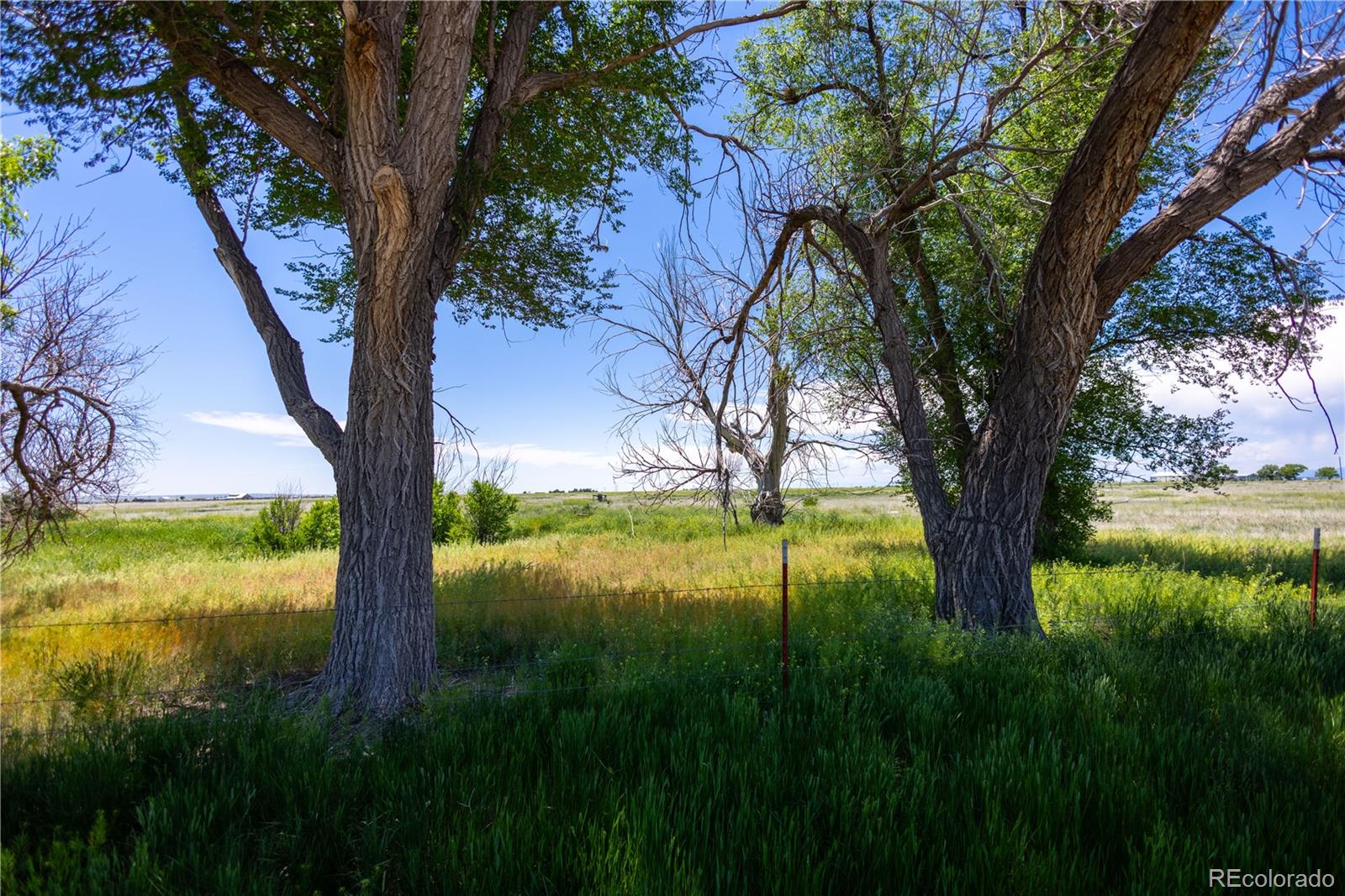 23655 East Garrett Road Calhan, CO 80808 - Photo 6 of 24 a view of an outdoor space with a lake view