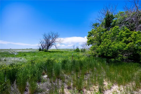 a backyard of a house with lots of green space and trees all around