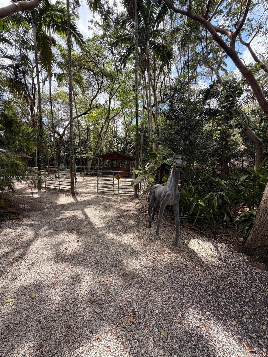 15425 Southwest 268th Street Homestead, FL 33032 - Photo 56 of 62 a view of outdoor space with deck and tree