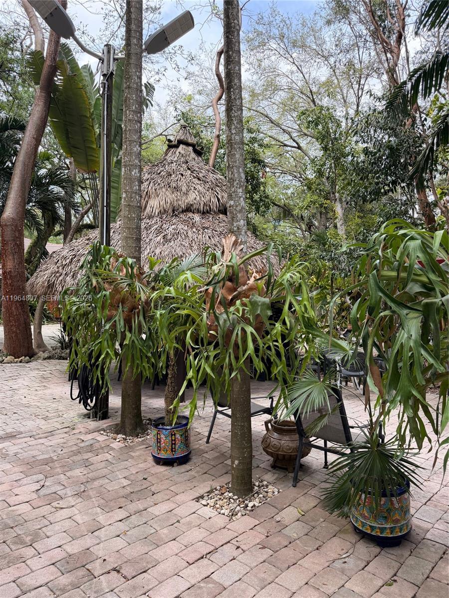15425 Southwest 268th Street Homestead, FL 33032 - Photo 59 of 62 a view of a garden with potted plants and large trees