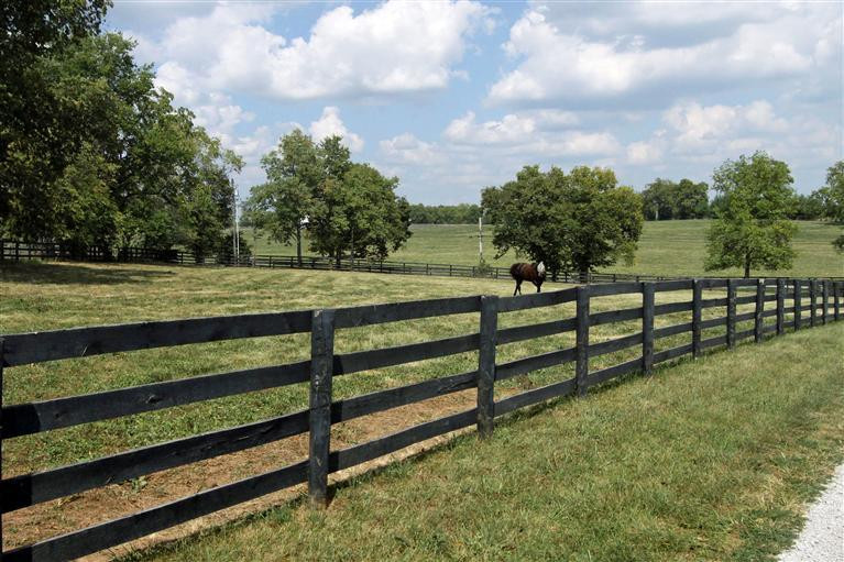 2000 Stamping Ground Road Georgetown, KY 40324 - Photo 23 of 33 Photo 23
