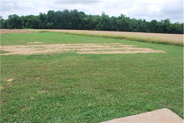 144 T G T Road Portland, TN 37148 - Photo 19 of 20 Look at the view from your back patio